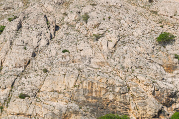 Rugged rocky cliff face with sparse vegetation and sunlit texture