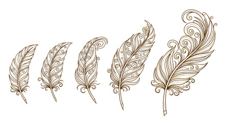 Luxury ornamental feather logo design, a set of five intricately detailed feathers in varying sizes, rendered in a cartoon illustration style with a warm, sepia-toned palette, perfect for branding