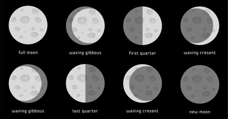 Collection of eight phases of the moon, moon stages. vector art. © Madusanka