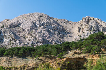Rocky mountain landscape with green pine forest under clear blue sky. Baška, Krk island, Croatia