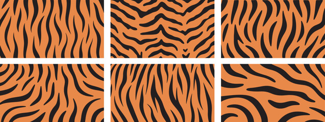 Obraz premium Six unique tiger skin print patterns, various styles Vector Art. 