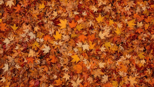Colorful backdrop of fallen autumn leaves suitable for seasonal applications, autumnal themes