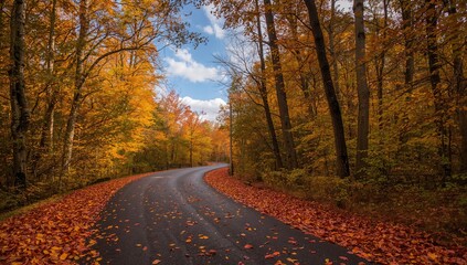 Obraz premium Autumn-hued leaves scattered across a winding road, seasonal change