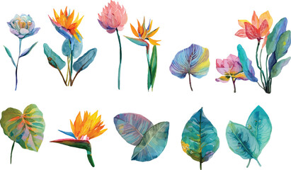 collection of leaves