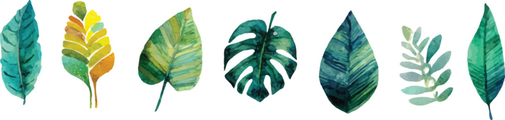vector illustration of a green leaves