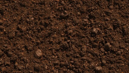 Texture of rich soil from above, ideal for planting and nurturing crops
