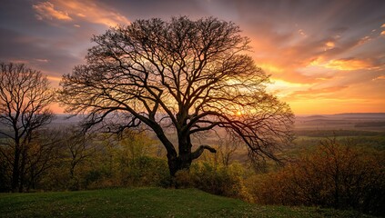 Fototapeta premium Beautiful Sunrise over a natural landscape, showcasing seasonal change