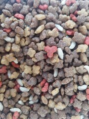 Dry cat food kibble mix close-up, colorful shapes of bears, hearts, stars provide balanced nutrition