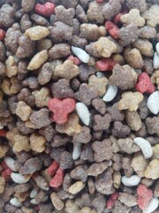 Nutritious colorful kibble for cats and dogs provides balanced diet and keeps your furry friend healthy
