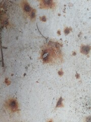 Rustic charm shines through worn textures, making this the perfect aged background for your design