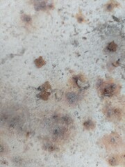 Rustic metal surface with aged texture and weathered rust, perfect for grungy backgrounds or industrial designs