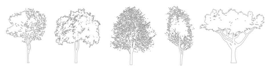 CAD Tree Blocks and Outlines for Architecture and Landscape Design