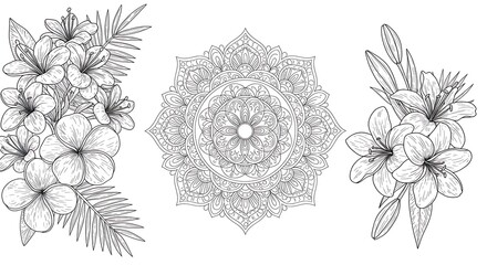 Floral Mandala and Flower Arrangements Line Art Collection.