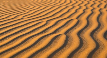 Golden Sand Dunes with Rippling Patterns Under Sunlight.
