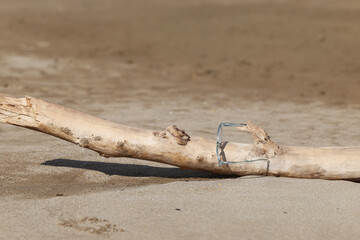 Glasses on the beach on a piece of wood 