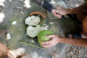 Close up of an senior man cutting a coconut with a machete