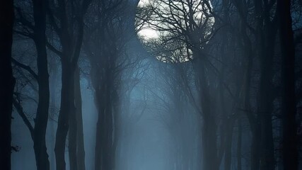 Full moon shining through a dark, misty forest at night, creating an eerie and mysterious atmosphere. - Powered by Adobe