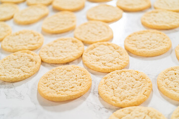 Box of Easy Last Minute Reindeer Sugar Cookies