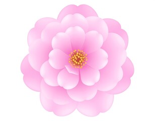 Close-up illustration of a delicate, layered pink flower with a yellow center, set on white