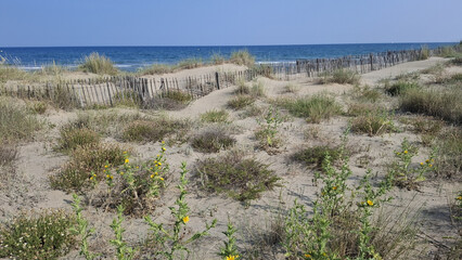 La grande plage de sable entre S&egrave;te et Marseillan dans le d&eacute;partement de l'H&eacute;rault en France