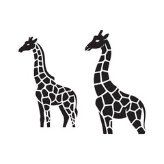 Cute Giraffe Duo &ndash; Safari Animal Line Drawing