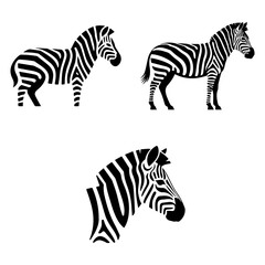 Black and White Zebra Art – Safari Animal Vector Design