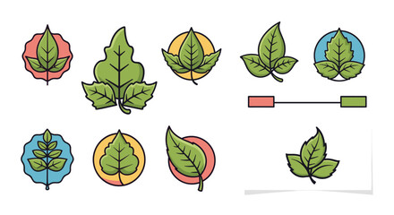 Set of stylized green leaf icons and emblems in a cartoon illustration style, featuring a modern fresh badge design with a vintage nature logo aesthetic, perfect for business cards and representing