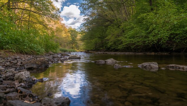 A stream flowing through a wooded area surrounded by stones and pebbles, highlighting seasonal change