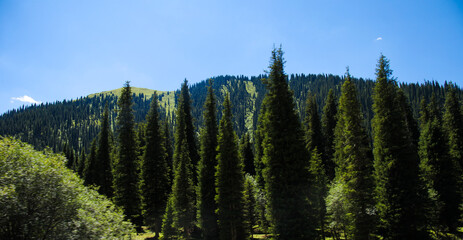 Fototapeta premium The beautiful scenery of Xinjiang, Asia