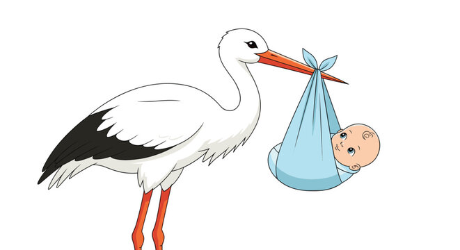 A delightful cartoon illustration shows a white stork carrying a newborn baby in a blue bundle, symbolizing new life and birth.
