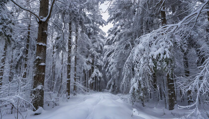 Fototapeta premium A stunning winter landscape with a snow-covered forest bathed in the rays of the sun, creating a feeling of cleanliness and peace. The image captures the beauty of frosty mornings and is perfect for n