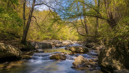 Obraz premium A gentle stream flows over rocks, nestled within vibrant foliage, highlighting seasonal change