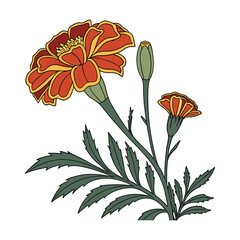 vector illustration of flowers