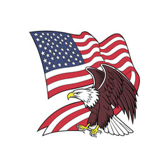 american flag with eagle image