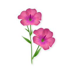 Fototapeta premium Purple yellow floral border high resolution transparent png photo