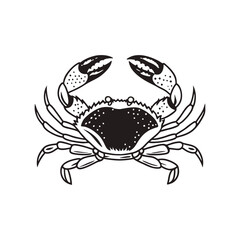 red crab vector illustration