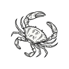 vector illustration of an abstract crab