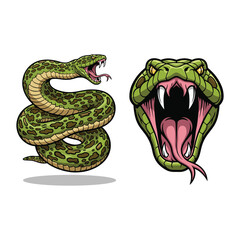 Python Snake Fullbody and Head Illustration