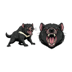 Tasmanian Devil Realistic Fullbody and Head Illustration