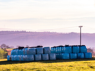 Obraz premium Silageballen lagern auf einem Feld im Herbst