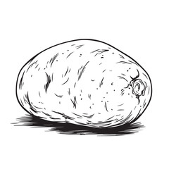 hand drawn sketch of a potato