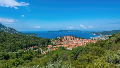 Obraz premium Aerial view of Orebic village along the Peljeac coast, highlighting urban density