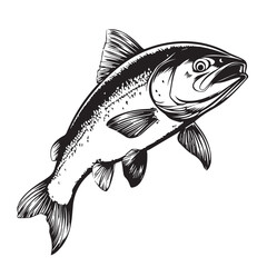 fish on a white background