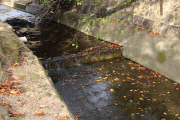 落ち葉が浮いている秋の住宅街を流れる小川