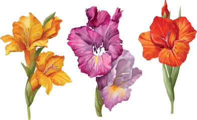 bouquet of colorful flowers