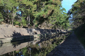 秋の夙川の清き流れ(兵庫県西宮市)