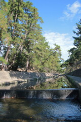 秋の夙川の清き流れ(兵庫県西宮市)