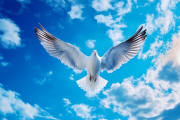 Obraz premium Dove in Flight over Cloudy Sky - A white dove soars through a vibrant blue sky dotted with fluffy white clouds. Symbolizes peace, freedom, and hope