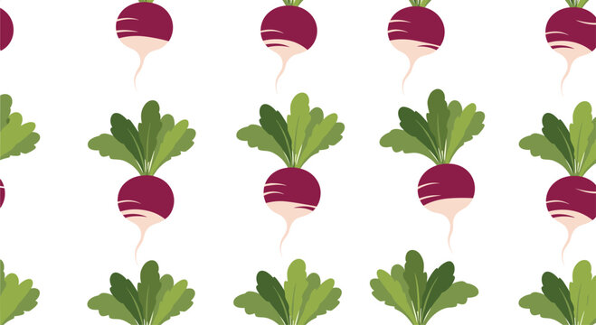 Healthy purple radishes with vibrant green tops are organized in rows, creating a simple and fresh seamless vegetable garden pattern.