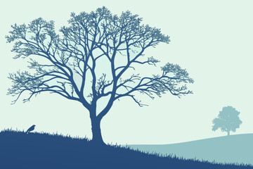 Flying Eagle/Falcon Vector Illustration - Monochrome Graphic